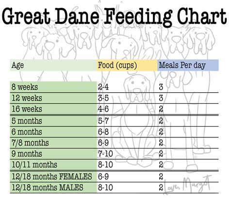great dane feeding guide Epub