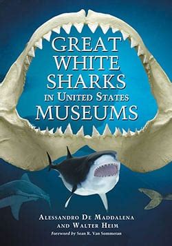 great white sharks in united states museums Kindle Editon