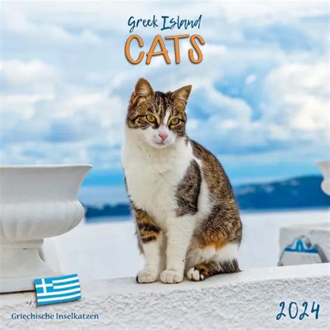 greek island cats wonderful world Doc