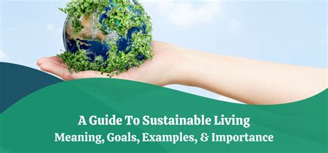 green living green lifestyle green living guide for beginners Reader