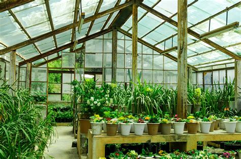 greenhouse gardening grow beautiful flowers and delicious foods in your greenhouse greenhouse gardening greenhouse Doc