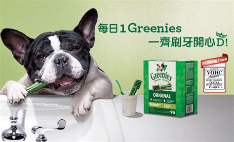 greenies 潔 齒 骨：呵護口腔健康的必備神器