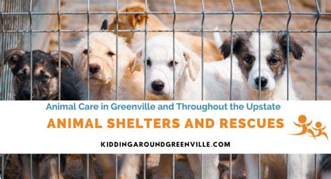 greenville animal adoption