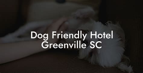 greenville pet friendly hotels