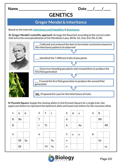 gregor mendel answers key PDF