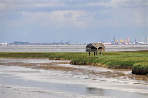 grenzeloos de identiteit van het landschap in de eems dollard regio PDF