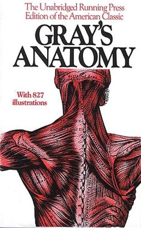 grey's anatomy anatomy book