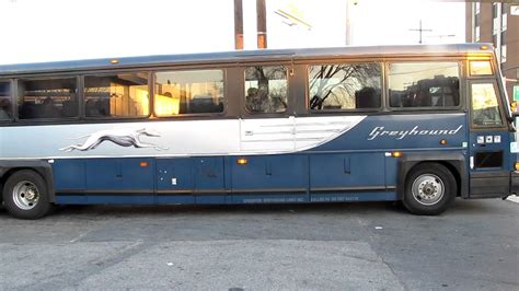 greyhound bus silver spring