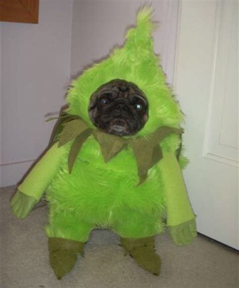 grinch dog outfit