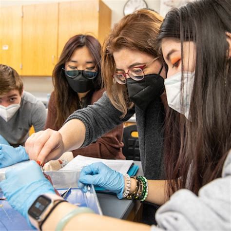 grinnell college neuroscience