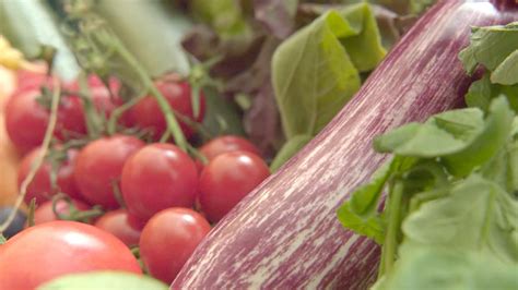 groenten uit eigen tuin biologisch tuinieren van maand tot maand Epub