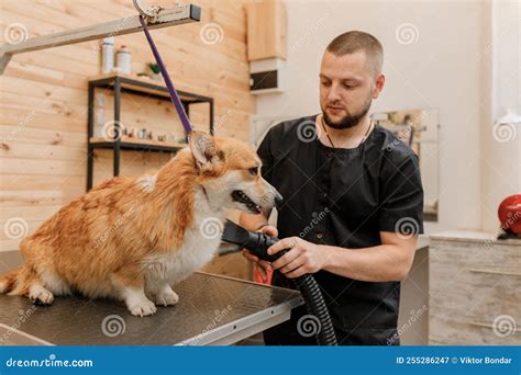 groomer 中文：寵物美容師的定義