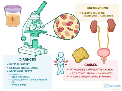 gross hematuria คือ