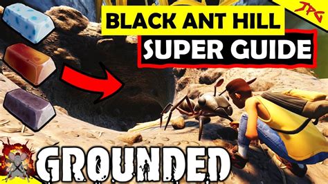 grounded best armor for black ant hill