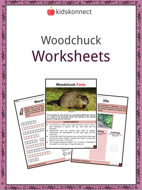 groundhog or woodchuck answer key Kindle Editon