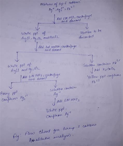 group 1 cation analysis answers Doc