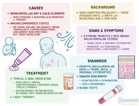 grovers favorite day Kindle Editon