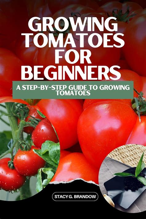 grow your best tomatoes a step by step beginners guide to growing tomatoes Kindle Editon