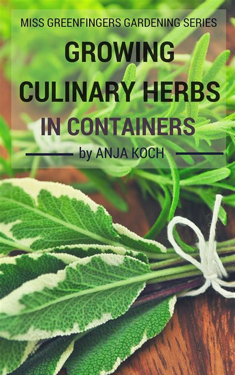 growing culinary herbs in containers healthyanddelicious gardening with little miss greenfingers book 1 Kindle Editon