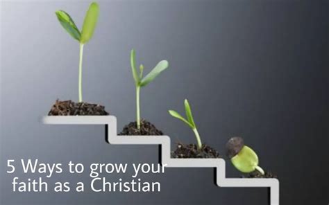 growing in christian faith growing in christian faith PDF