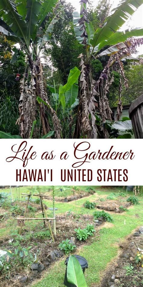 growing vegetables in hawaii a how to guide for the gardener Epub