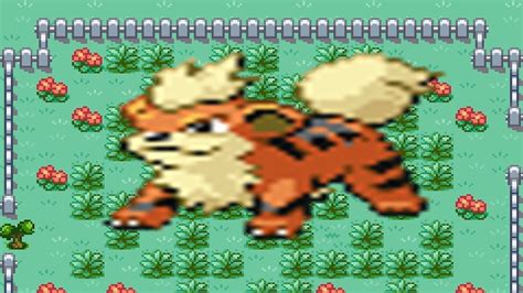 growlithe fire red