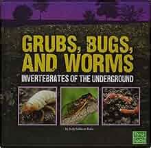 grubs bugs and worms invertebrates of Reader