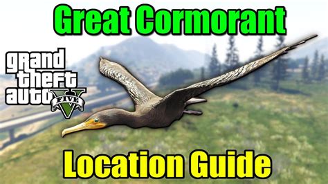 gta 5 great cormorant location