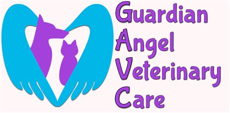 guardian angel veterinary care