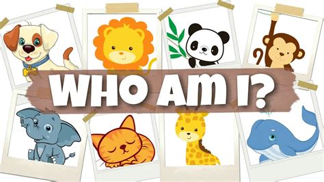 guess who am i animal picture book funny and silly animal books 1 Reader