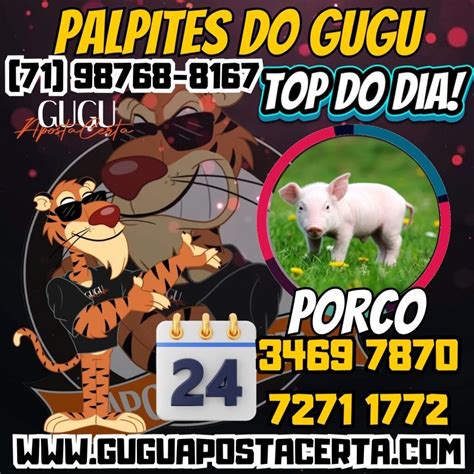 gugu aposta certa.com