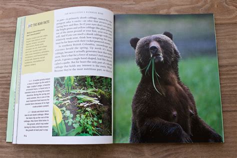 guide for the modern bear a field study of bears in the wild Reader