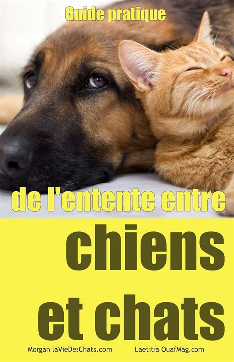 guide pratique lentente entre chiens Kindle Editon