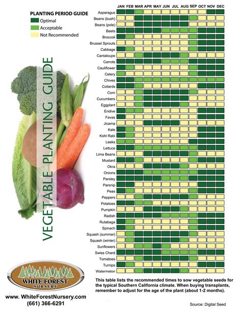 guide to canadian vegetable gardening vegetable gardening guides Reader