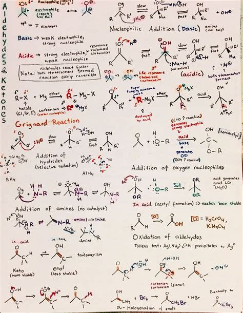 guide to organic chemistry mechanisms Kindle Editon