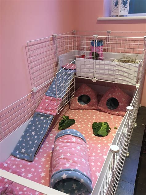 guinea pig cage