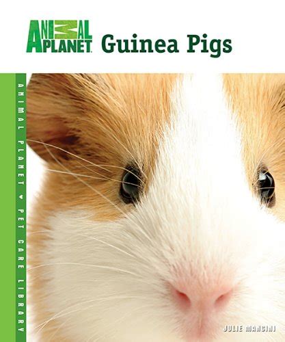 guinea pigs animal planet® pet care library Reader