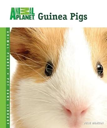 guinea pigs animal planet® pet care library Reader