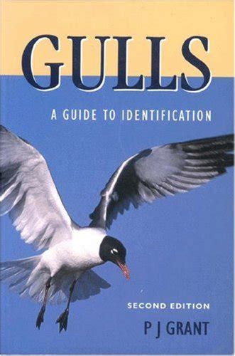 gulls second edition a guide to identification natural world Reader