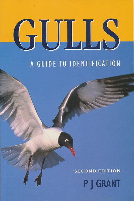 gulls second edition a guide to identification natural world Reader