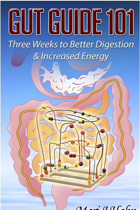 gut guide 101 three weeks to better digestion and increased energy PDF