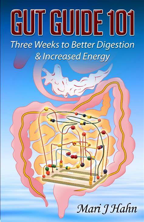 gut guide 101 three weeks to better digestion and increased energy PDF