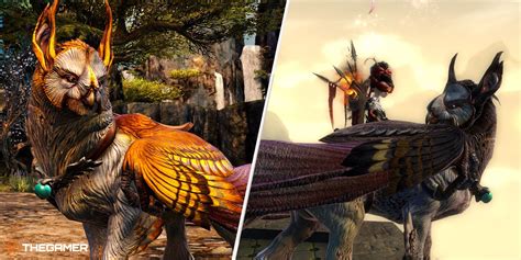 Gw2 Griffon Walkthrough