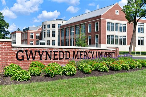 gwynedd mercy university employment