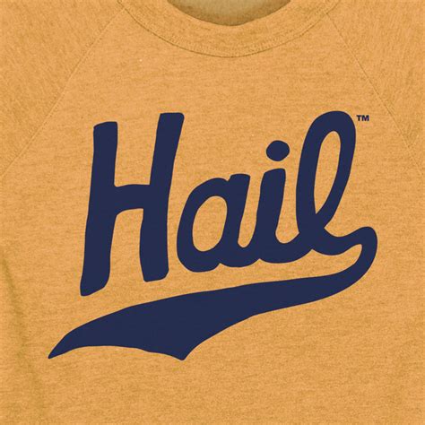 hail university of michigan