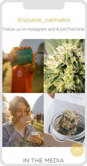 hailey420: The Leading Source for Cannabis Information and Culture