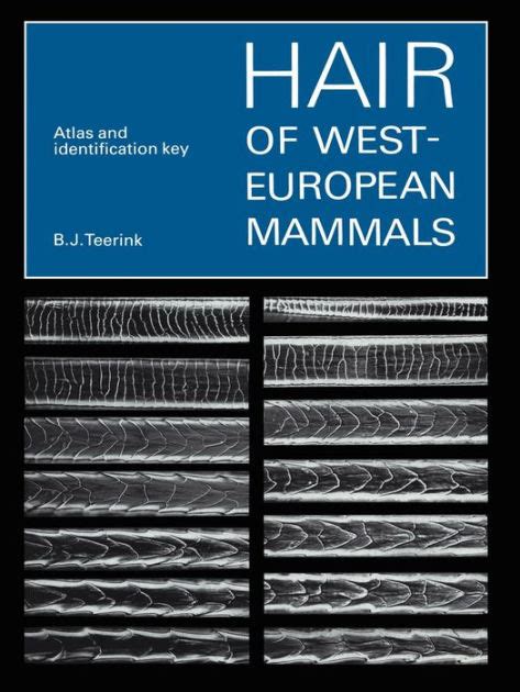 hair of west european mammals atlas and identification key paperback Doc