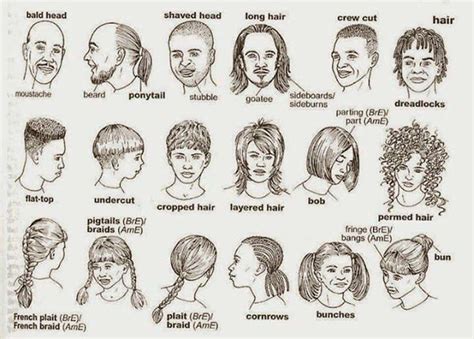 hair terms