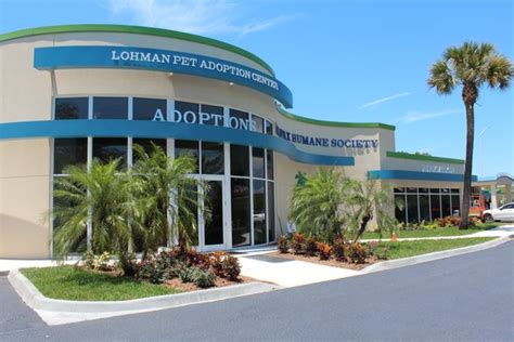 halifax animal shelter daytona