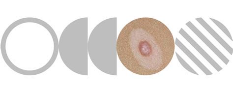 halo mole manual guide Reader